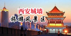 美女毛茸茸的麻皮中国陕西-西安城墙旅游风景区